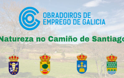 O proceso de selección para o obradoiro “Natureza no Camiño de Santiago” axústase á normativa vixente, lembra o Concello de Melide