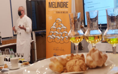 O Concello de Melide comeza esta semana a promoción da Festa do Melindre en Santiago, Madrid e Portugal.